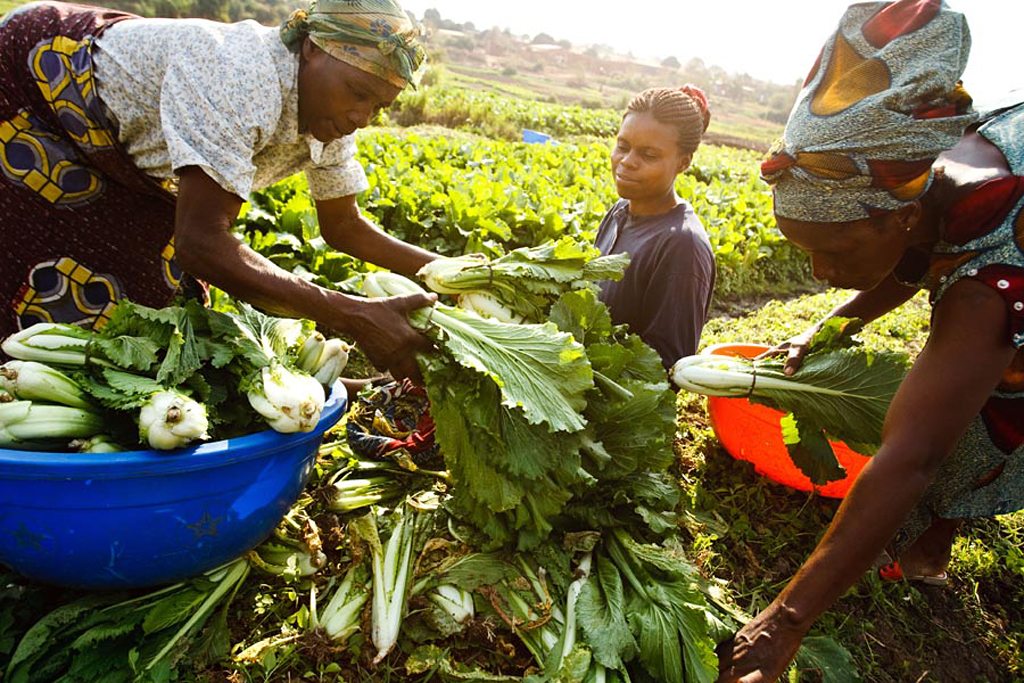 Improving Supply	&	Food	Security	In	Our	 Communities”